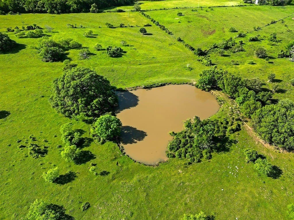 80.64 acres in Colorado County - photo 17