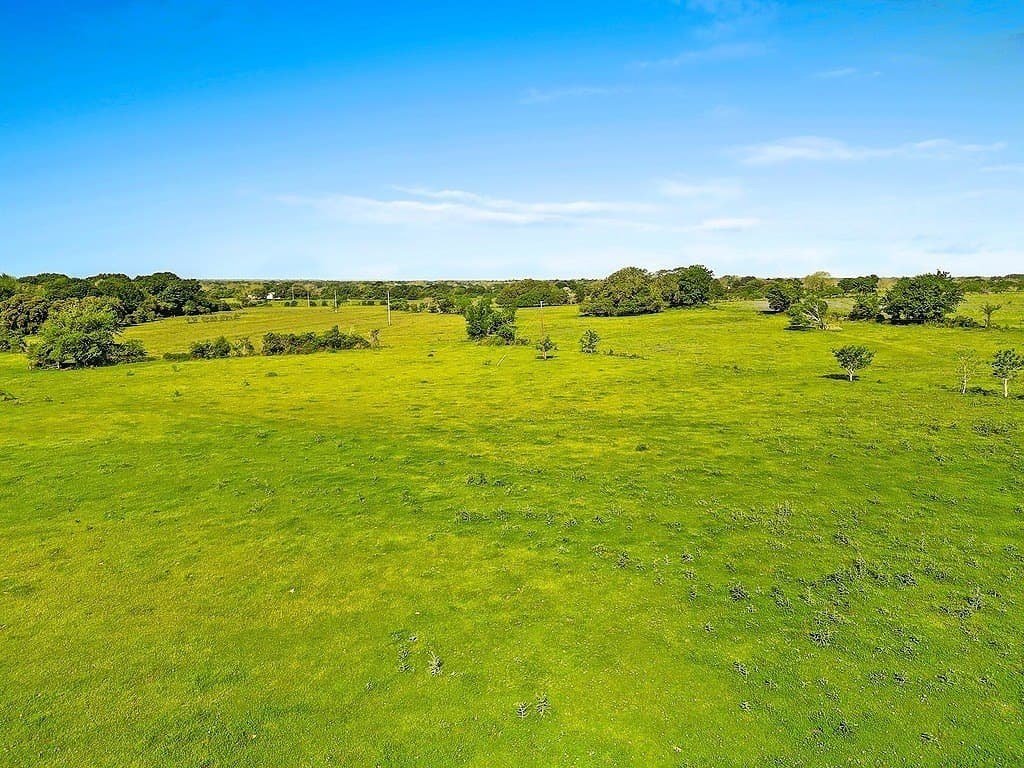 80.64 acres in Colorado County featured view