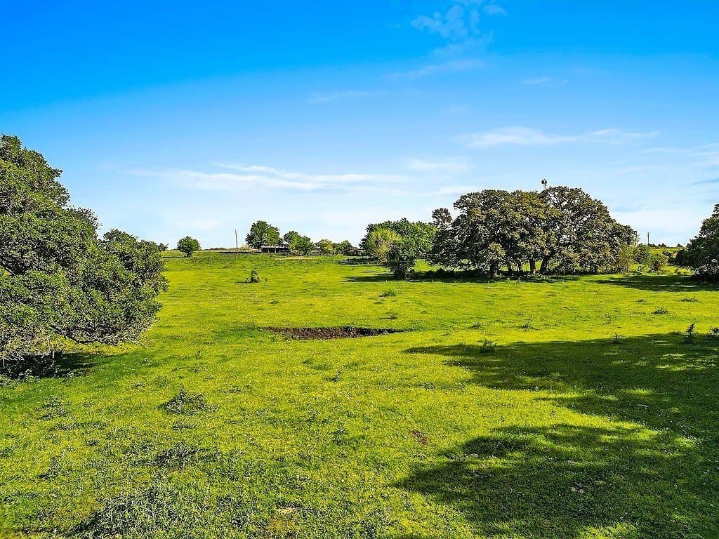 80.64 acres in Colorado County - photo 15