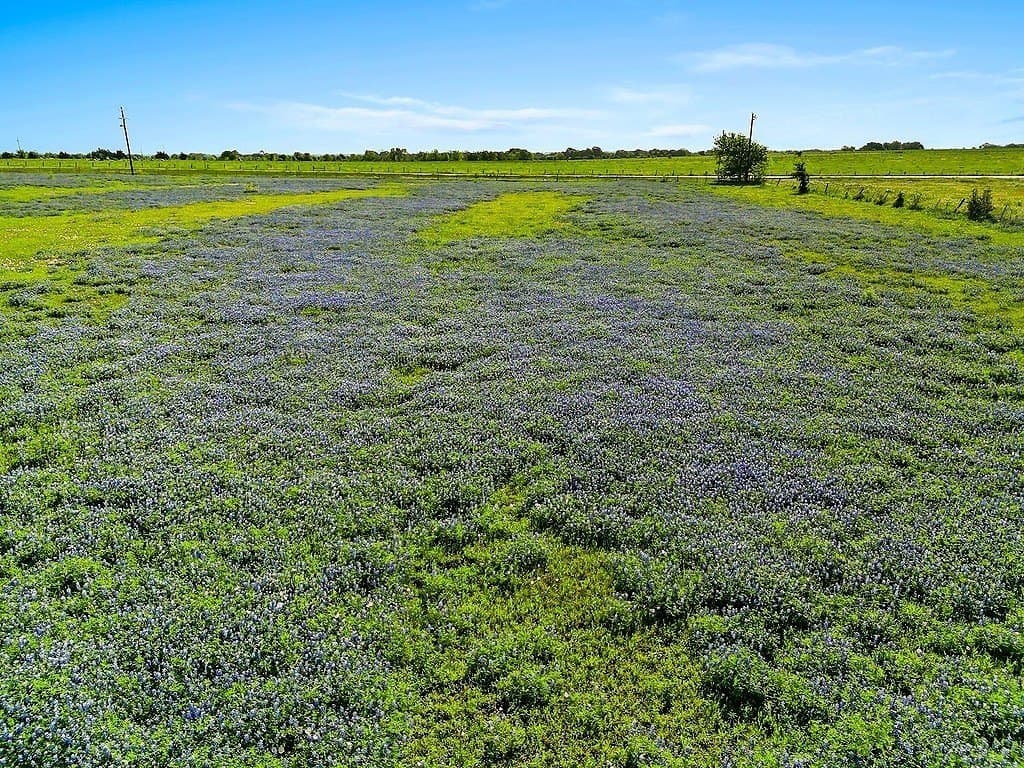 80.64 acres in Colorado County - photo 16