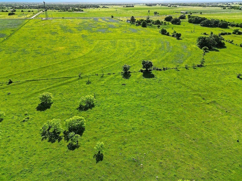 80.64 acres in Colorado County gallery image 3