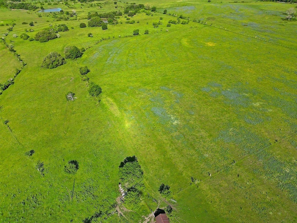 80.64 acres in Colorado County - photo 8