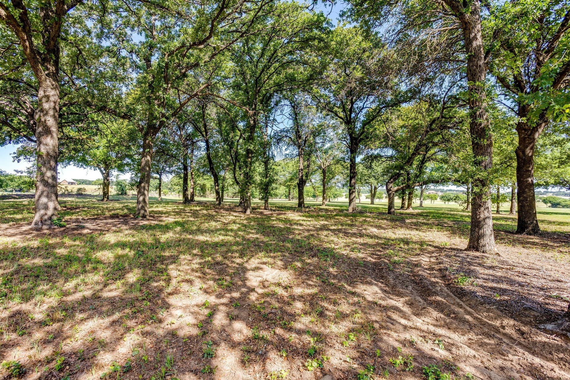 41.96 acres in Johnson County - photo 19