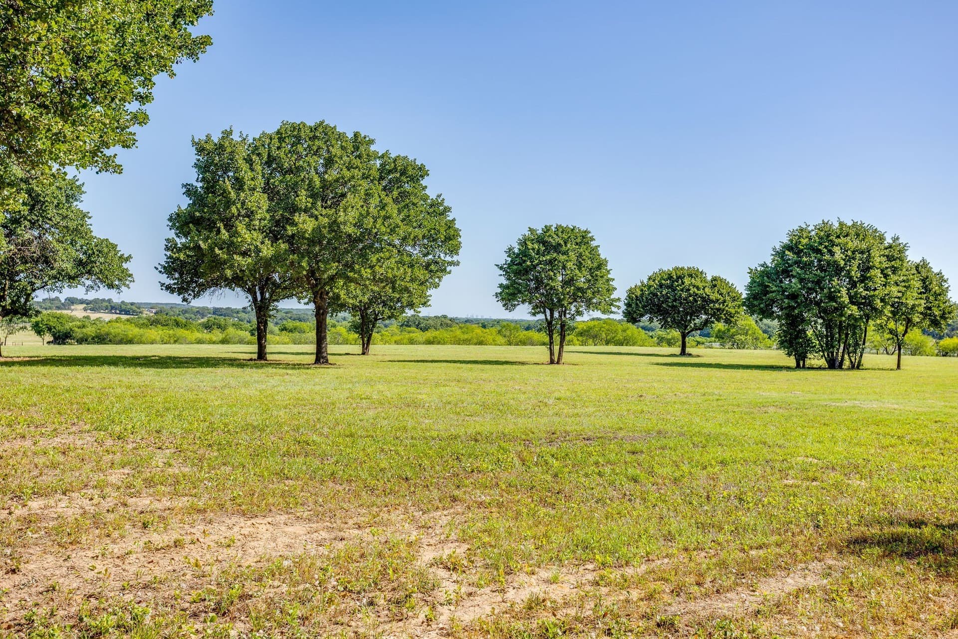 41.96 acres in Johnson County - photo 18