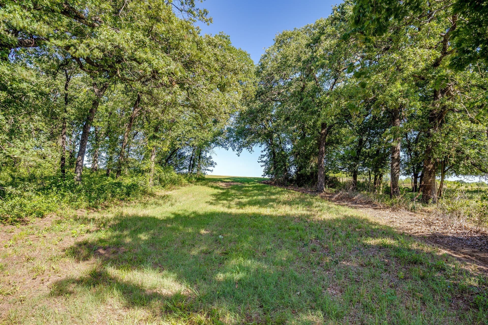 41.96 acres in Johnson County - photo 14
