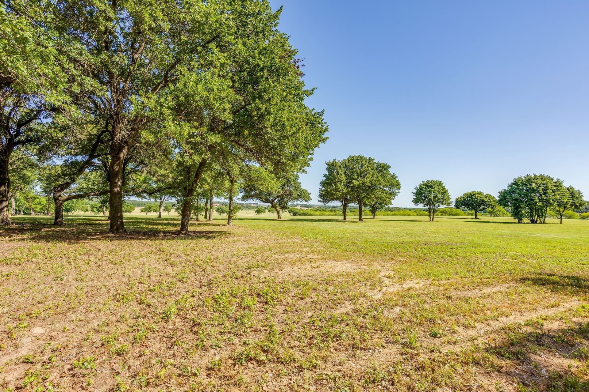 41.96 acres in Johnson County - photo 17