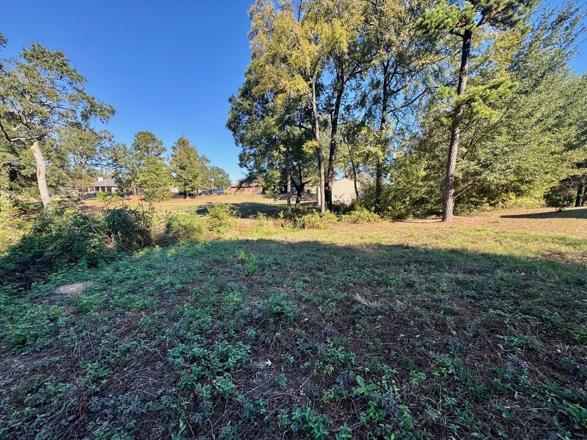1.03 acres in Camp County - photo 7