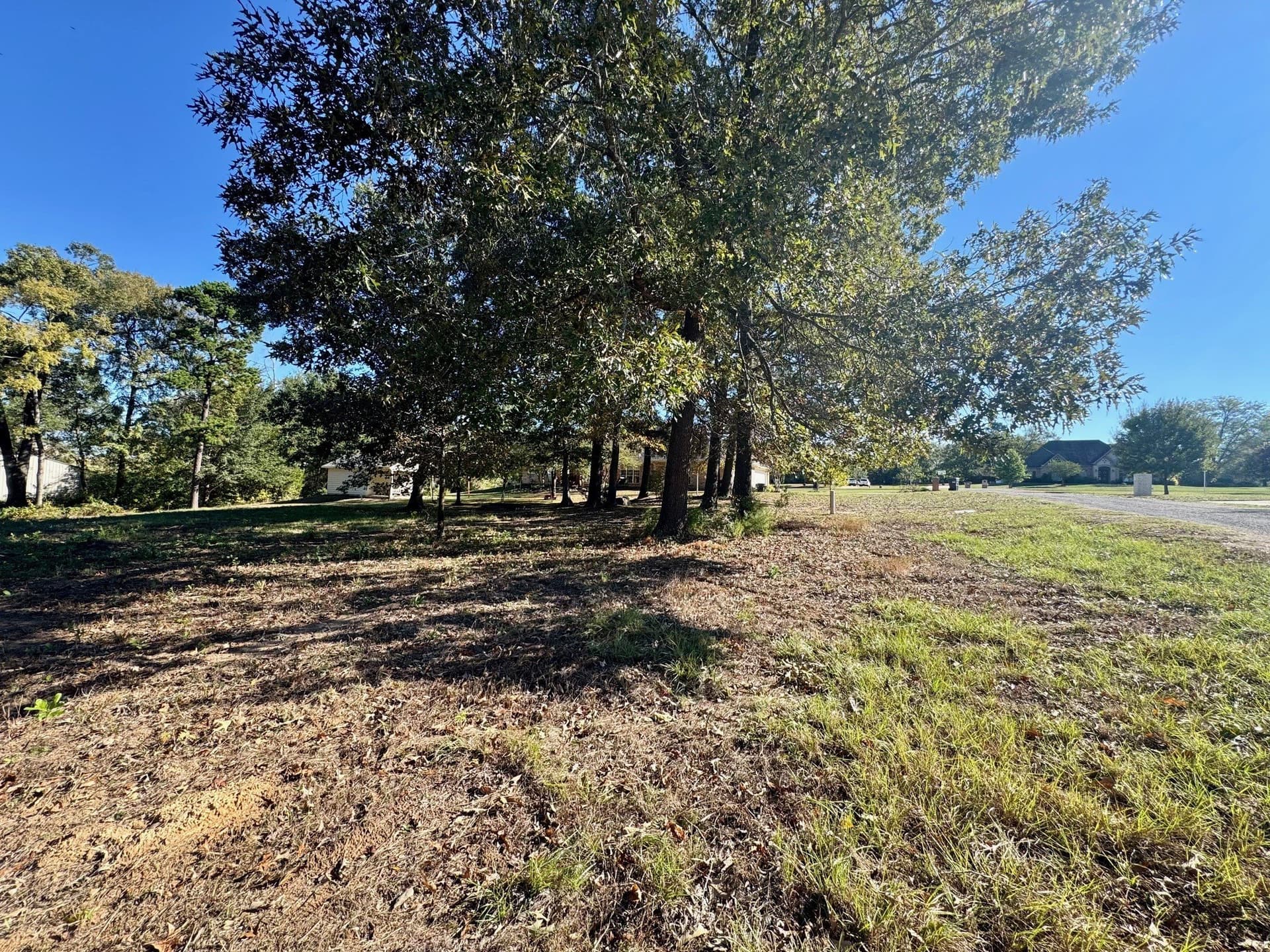 1.03 acres in Camp County gallery image 3