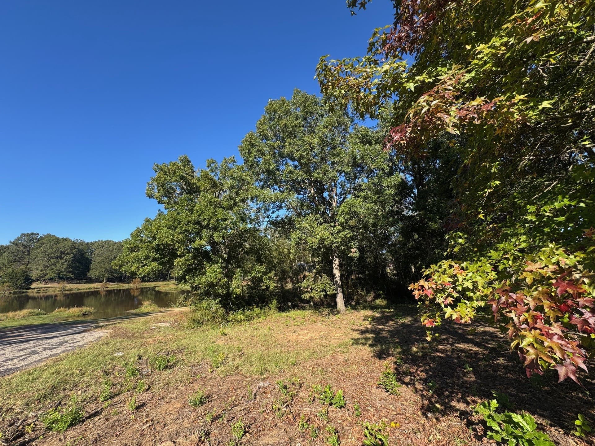 1.03 acres in Camp County - photo 8