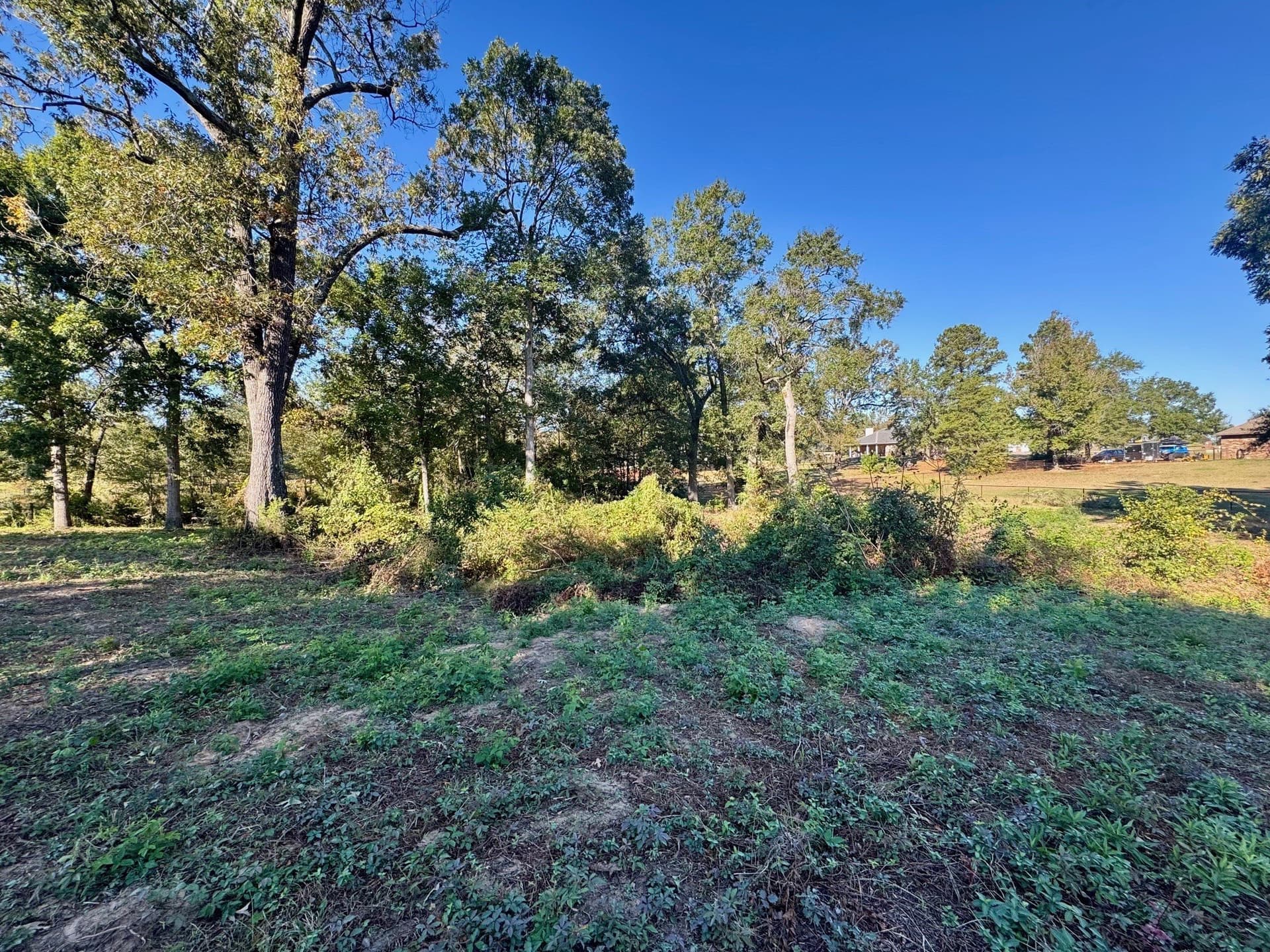 1.03 acres in Camp County featured view