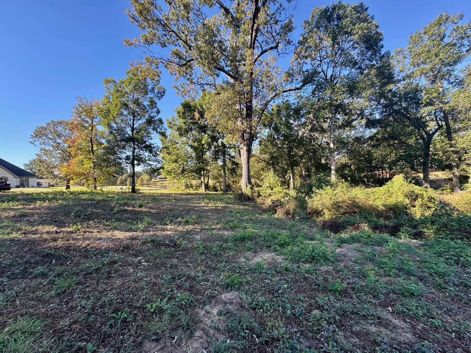 1.03 acres in Camp County gallery image 4