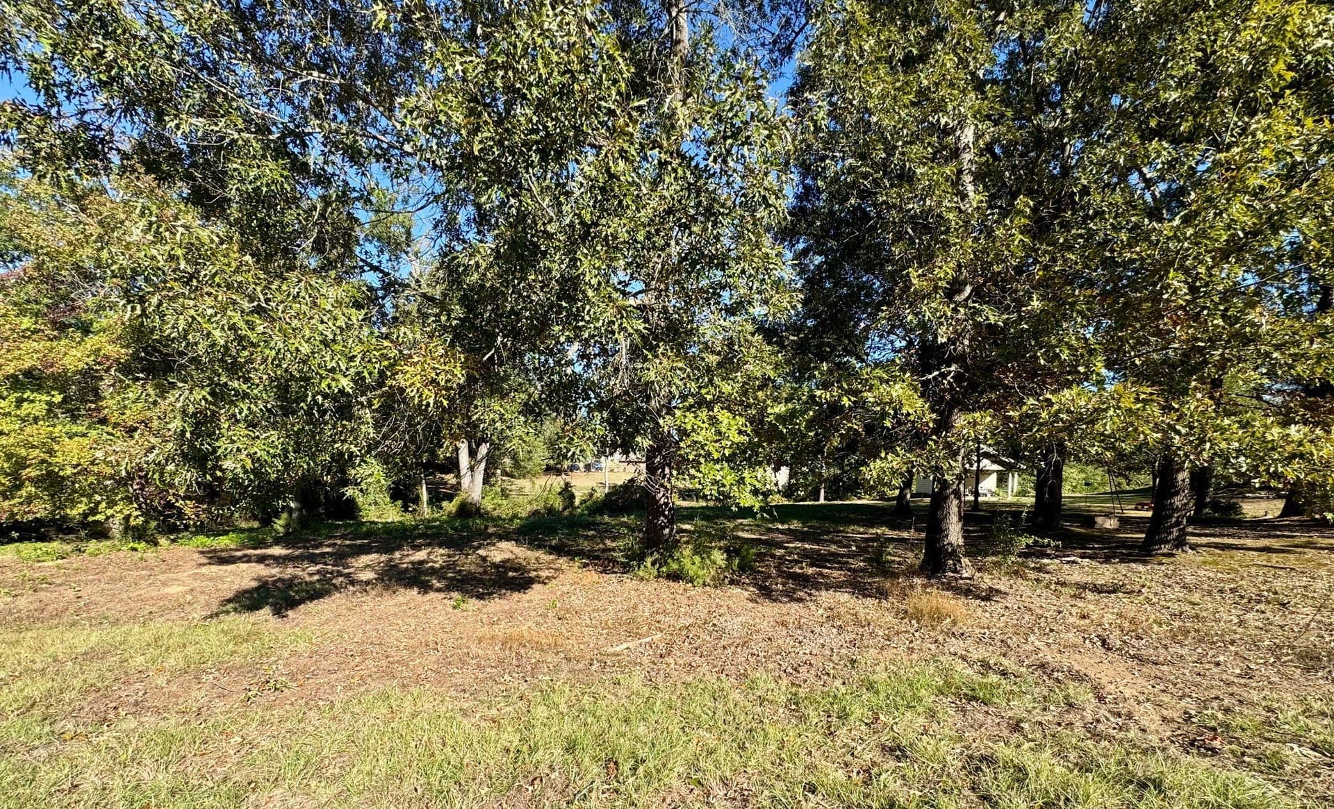 1.03 acres in Camp County - photo 9