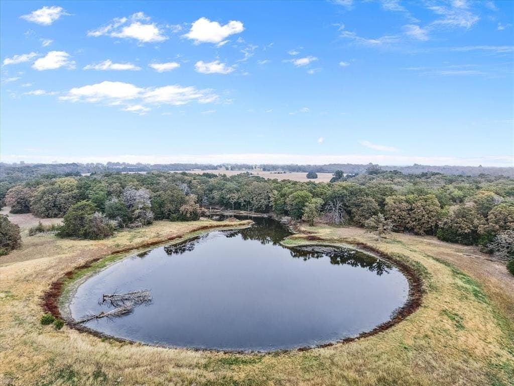 142.3 acres in Navarro County gallery image 4