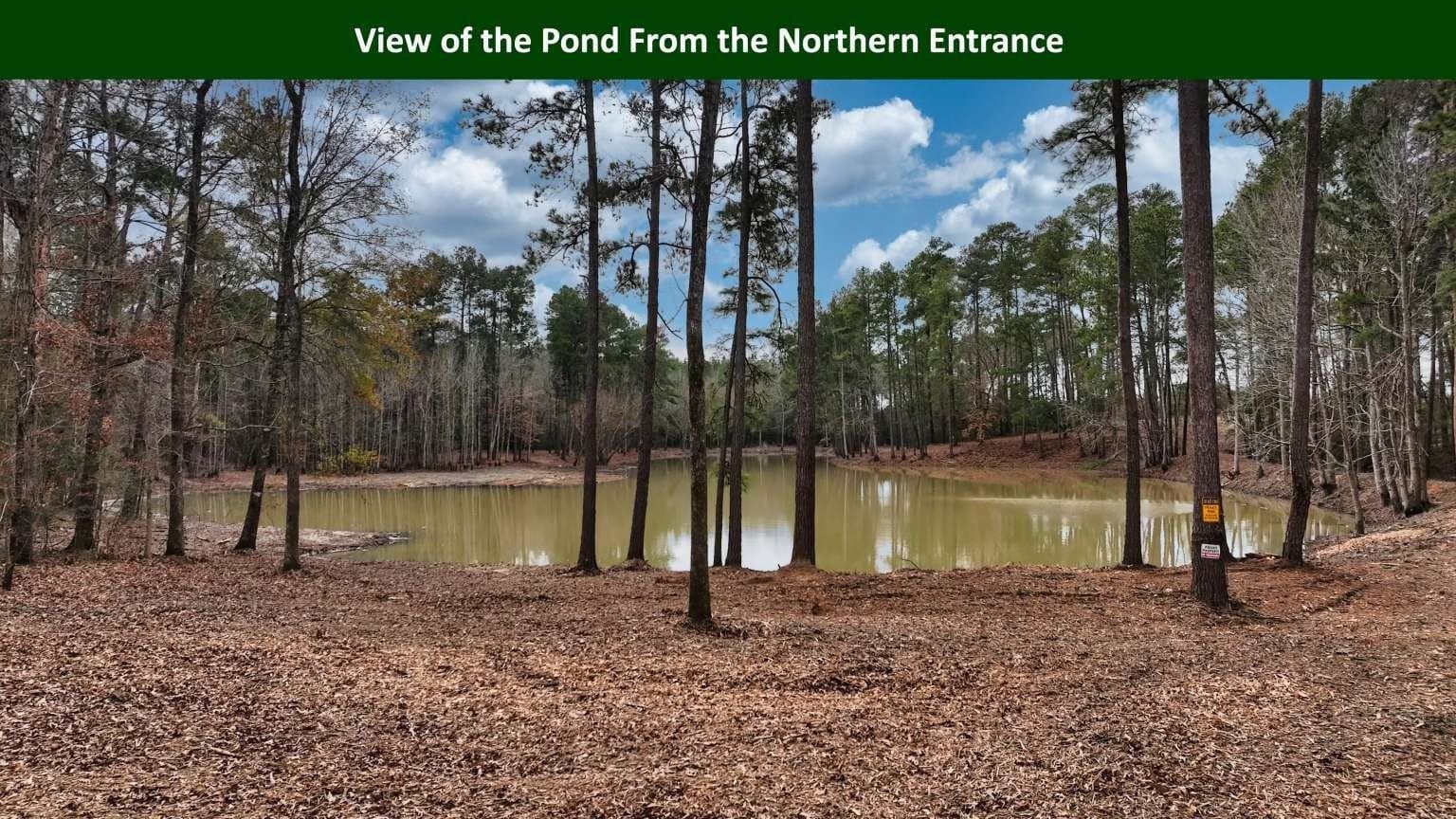 47.75 acres in Tyler County - photo 13
