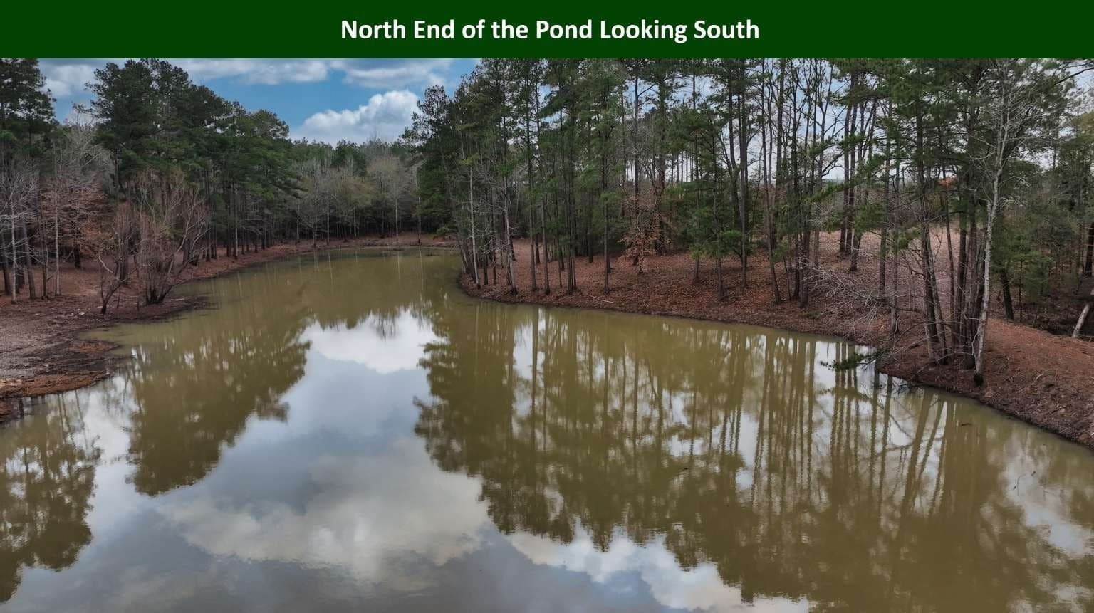 47.75 acres in Tyler County - photo 11
