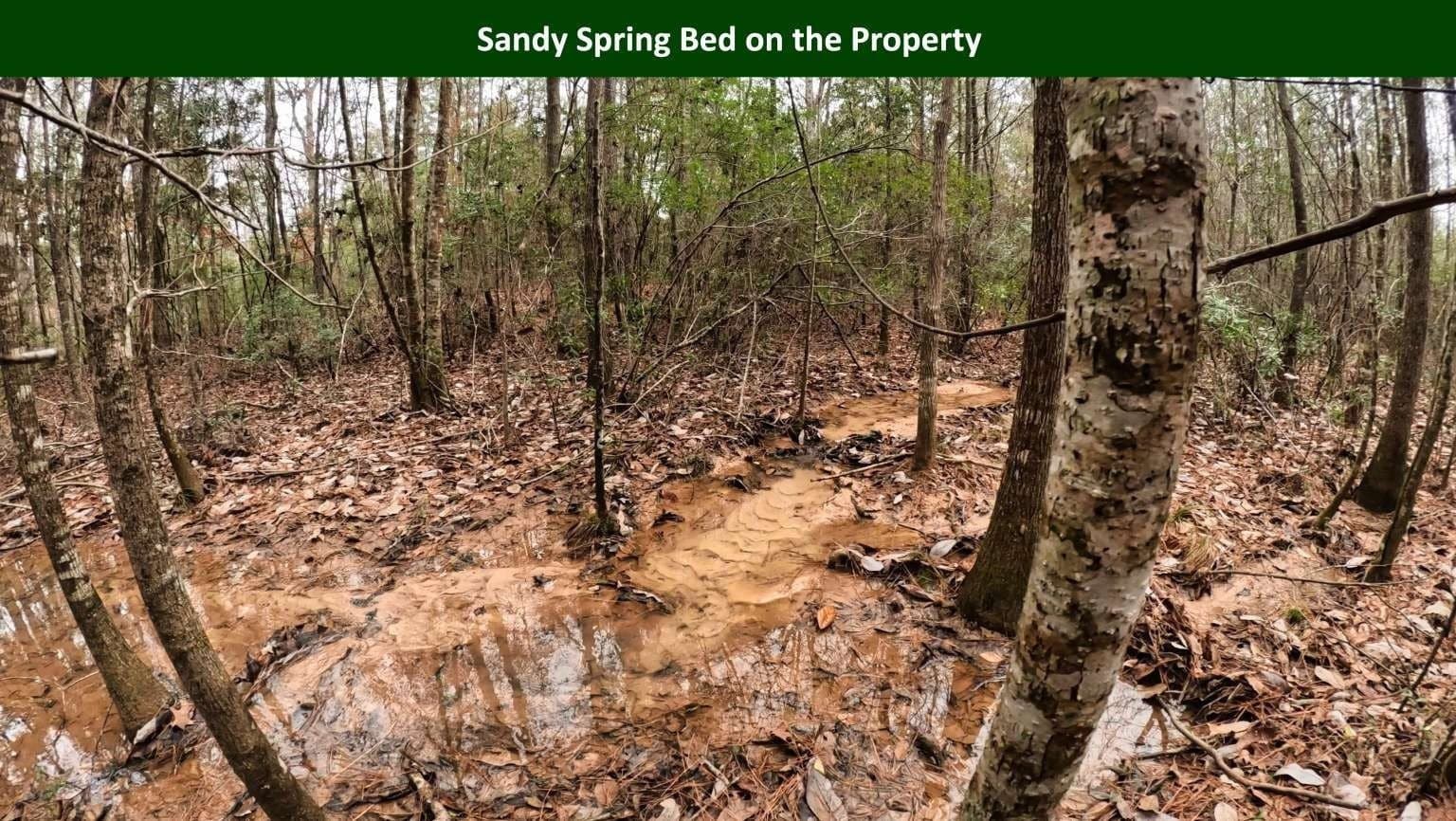 47.75 acres in Tyler County - photo 21