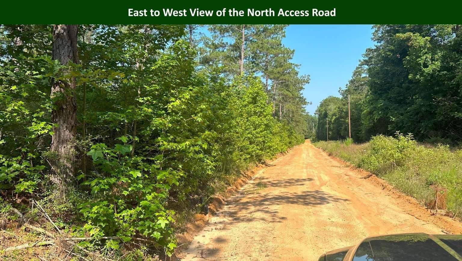 47.75 acres in Tyler County - photo 25