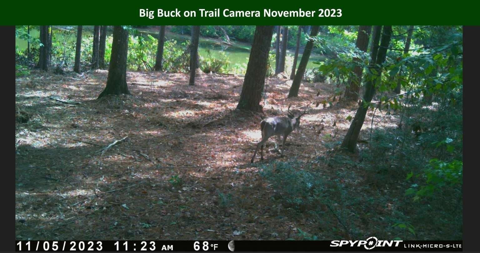 47.75 acres in Tyler County - photo 29