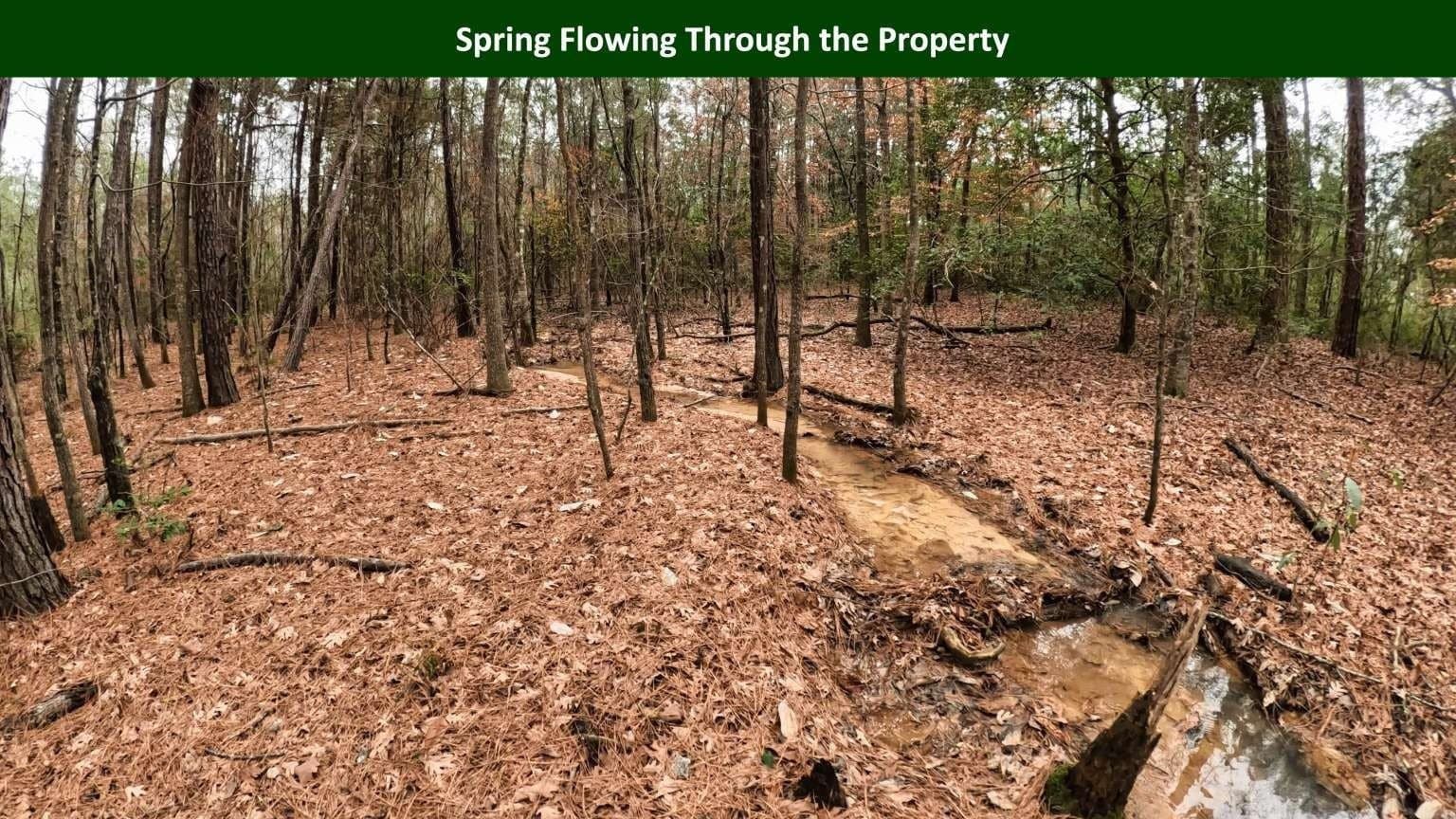 47.75 acres in Tyler County - photo 22