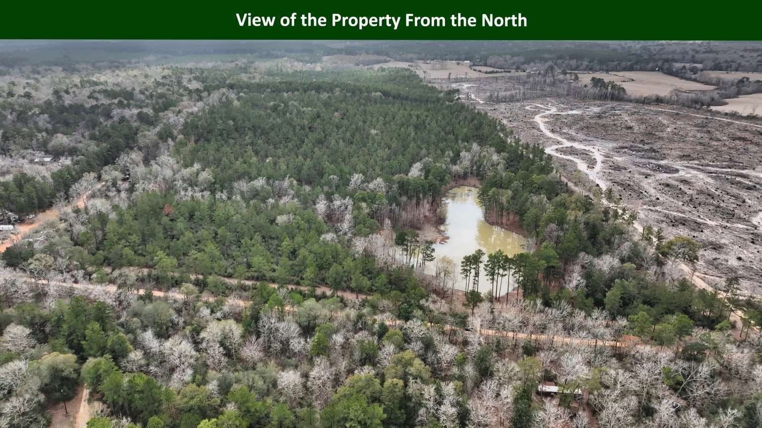 47.75 acres in Tyler County - photo 6