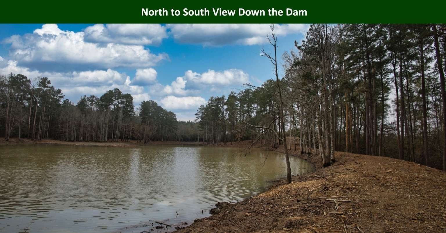 47.75 acres in Tyler County - photo 15