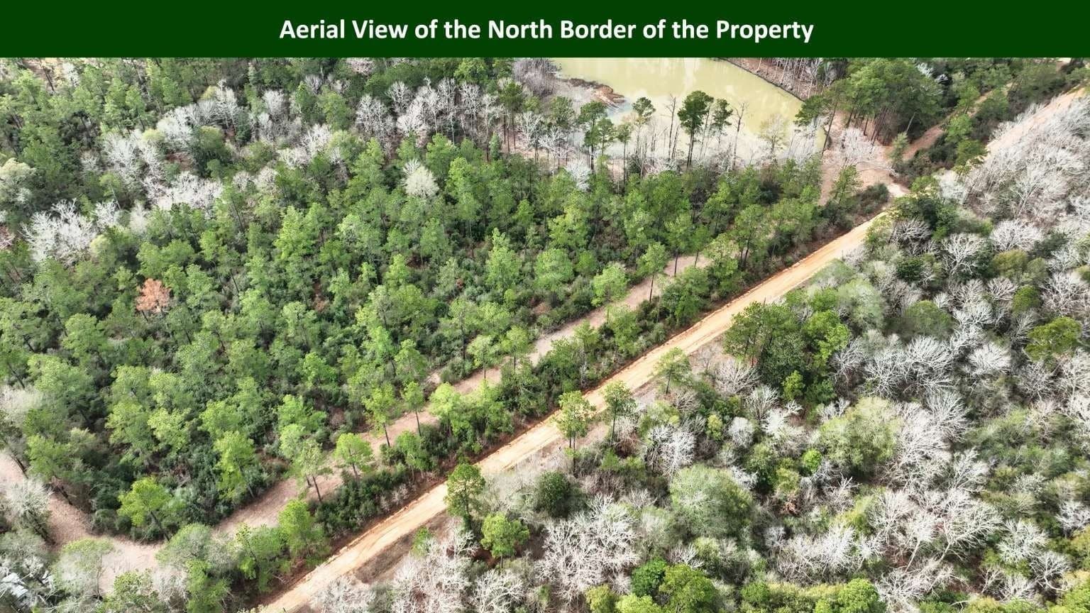 47.75 acres in Tyler County - photo 18
