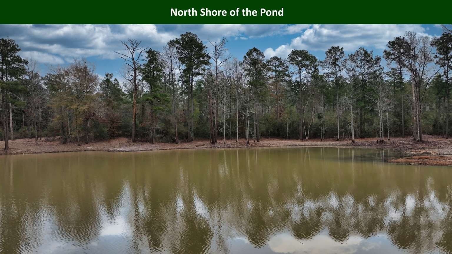 47.75 acres in Tyler County - photo 14