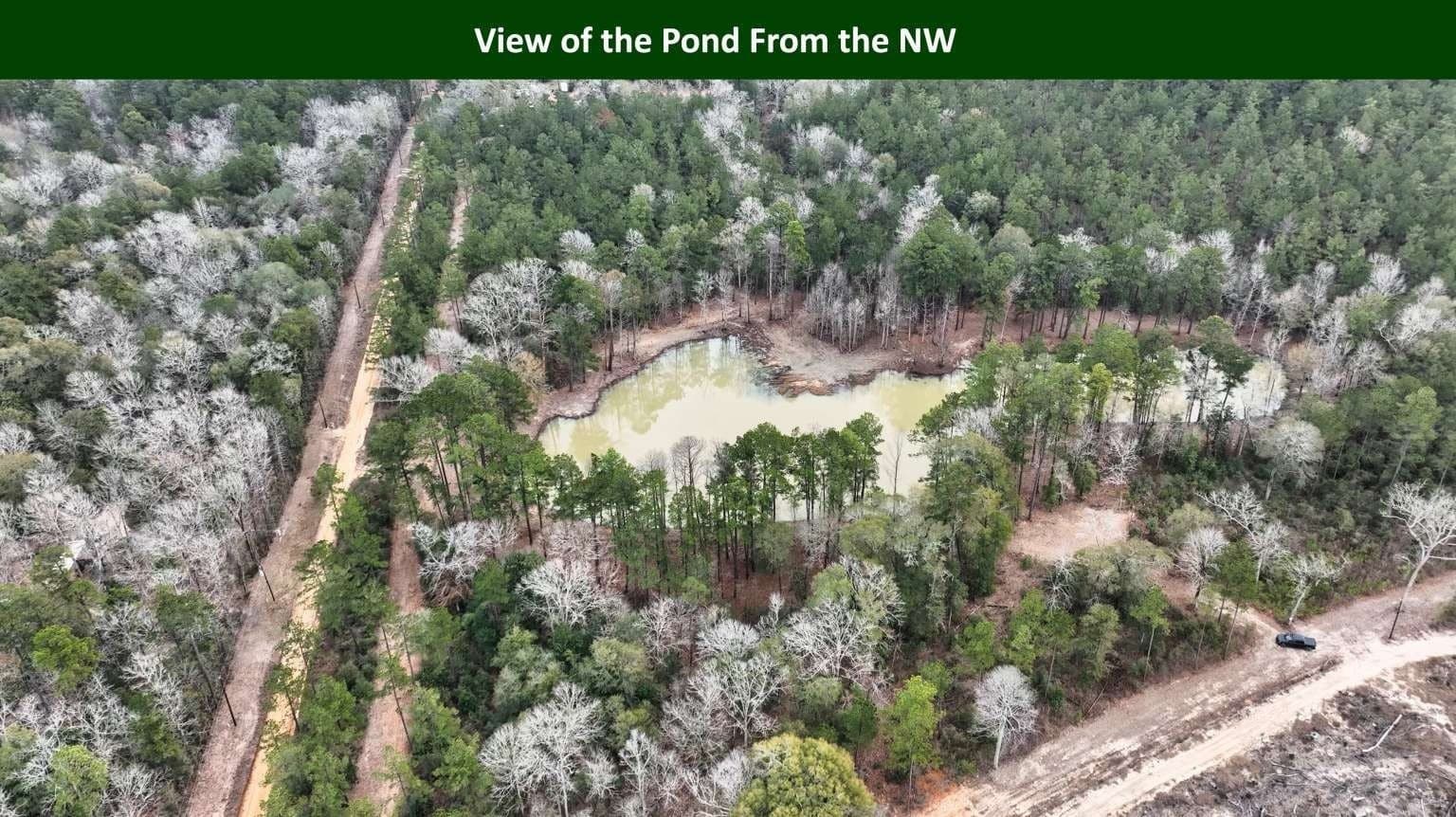 47.75 acres in Tyler County - photo 8