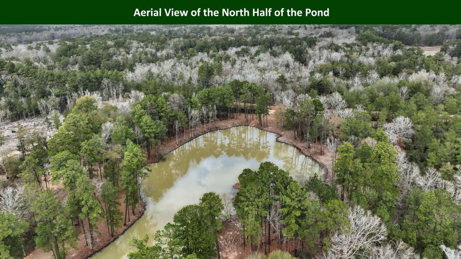 47.75 acres in Tyler County - photo 2