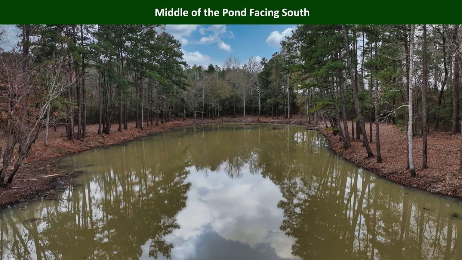 47.75 acres in Tyler County - photo 10