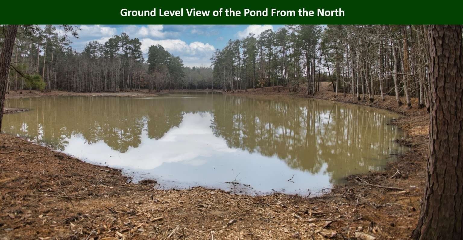 47.75 acres in Tyler County - photo 12