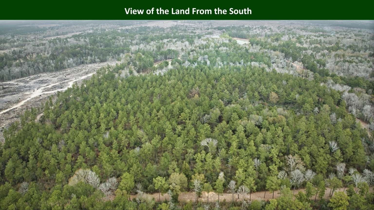47.75 acres in Tyler County - photo 5