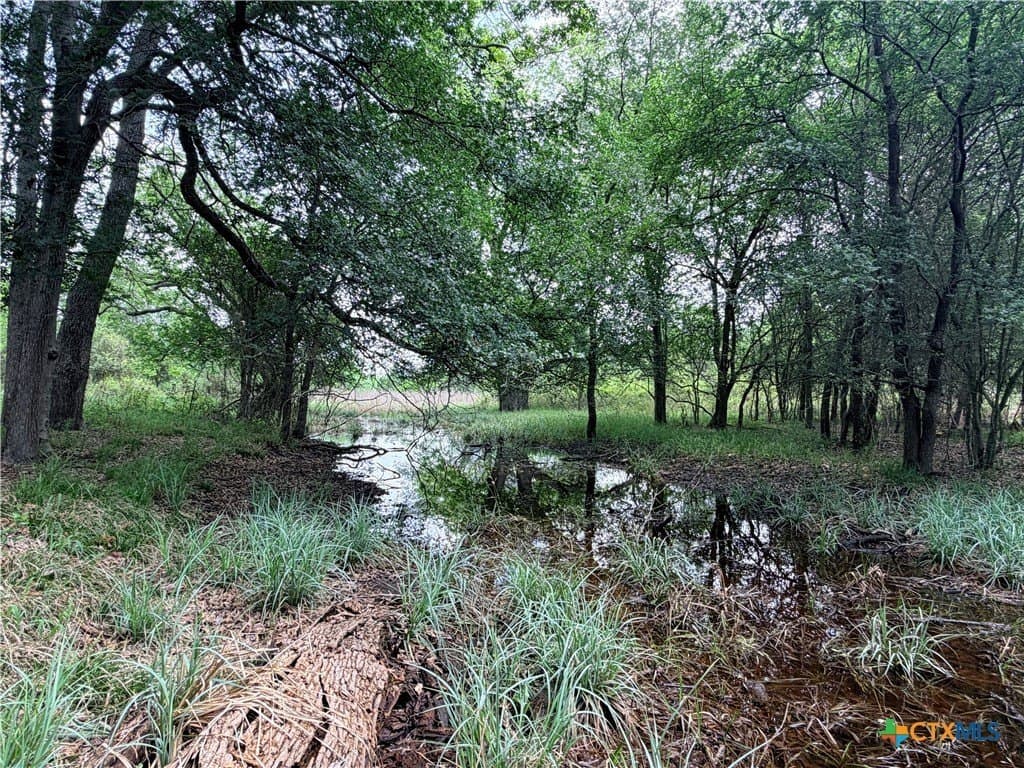 12.48 acres in Caldwell County - photo 10