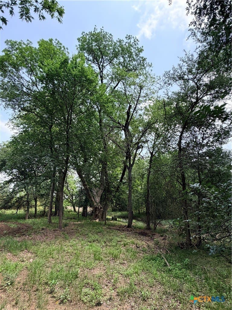 12.48 acres in Caldwell County - photo 22