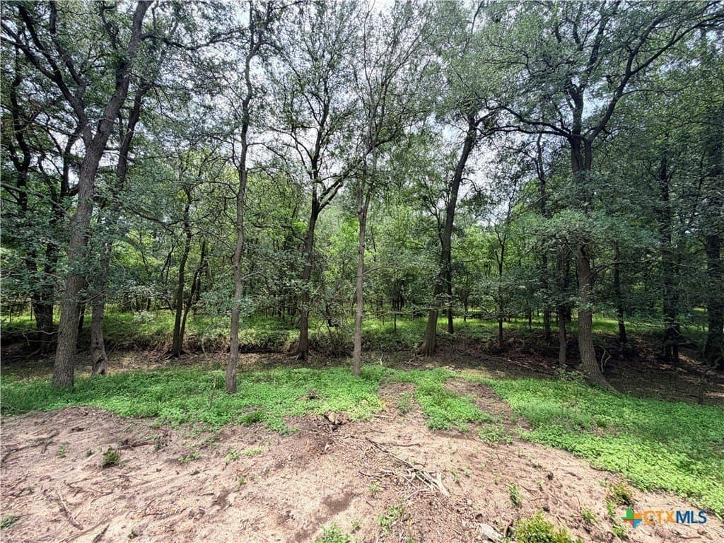 12.48 acres in Caldwell County - photo 19