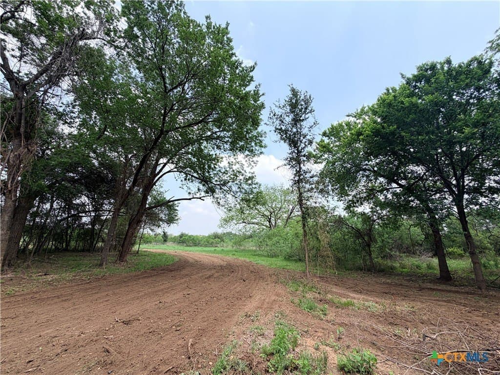 12.48 acres in Caldwell County - photo 16