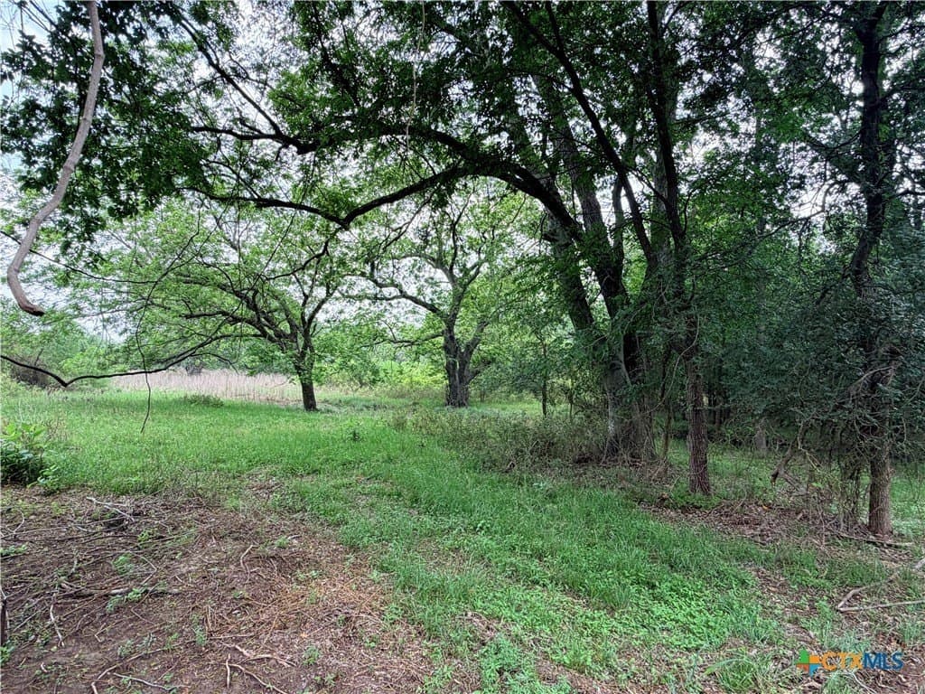 12.48 acres in Caldwell County - photo 9