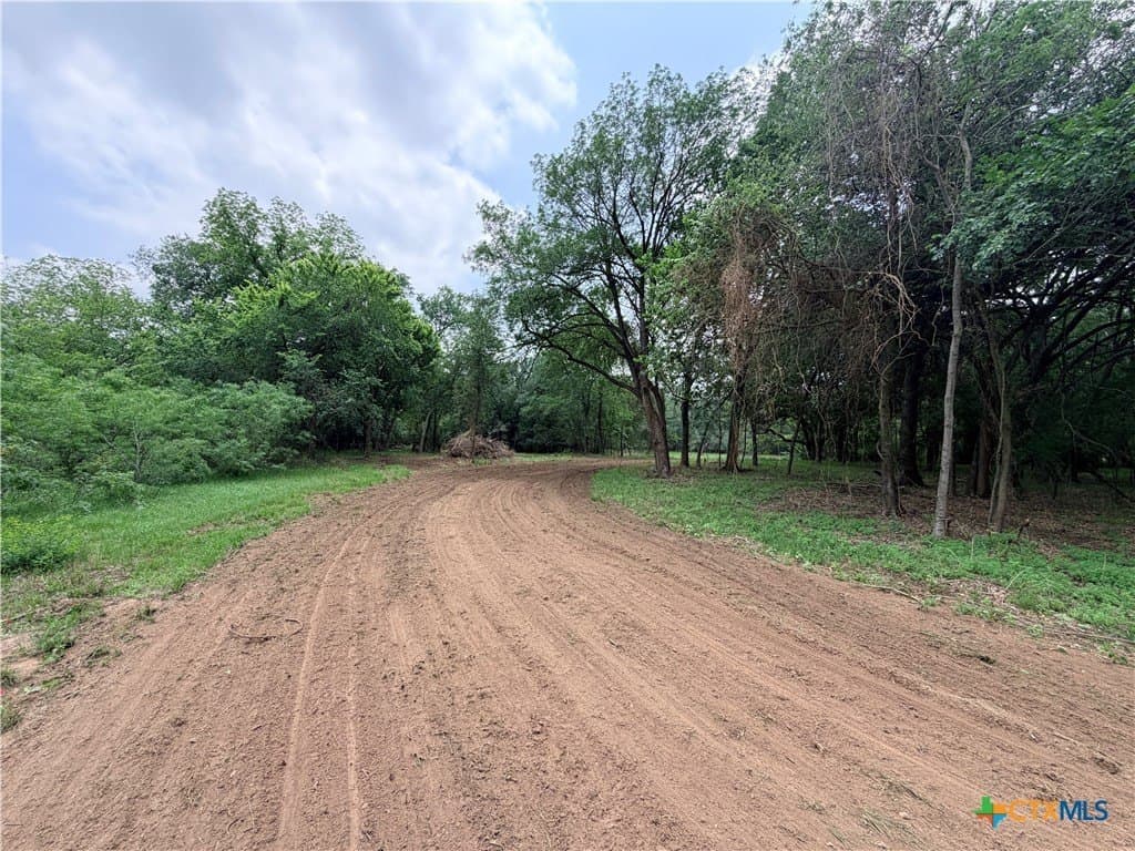 12.48 acres in Caldwell County gallery image 3