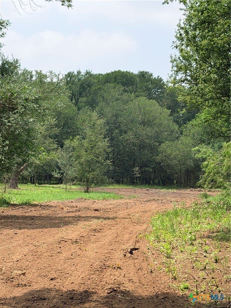 12.48 acres in Caldwell County - photo 24