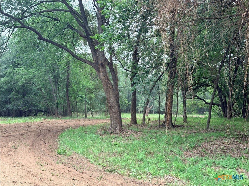 12.48 acres in Caldwell County gallery image 4