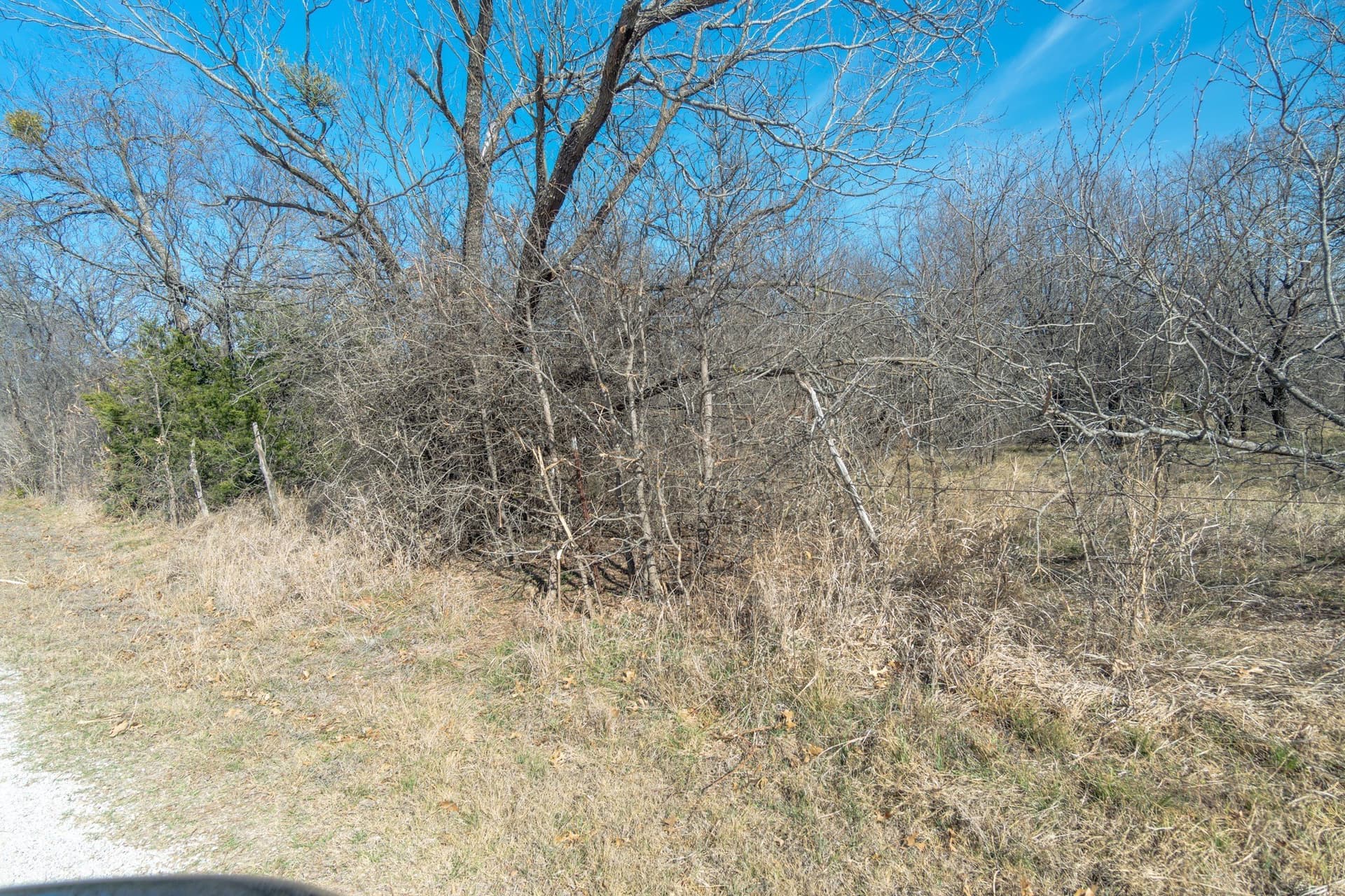 39.96 acres in Hood County - photo 10