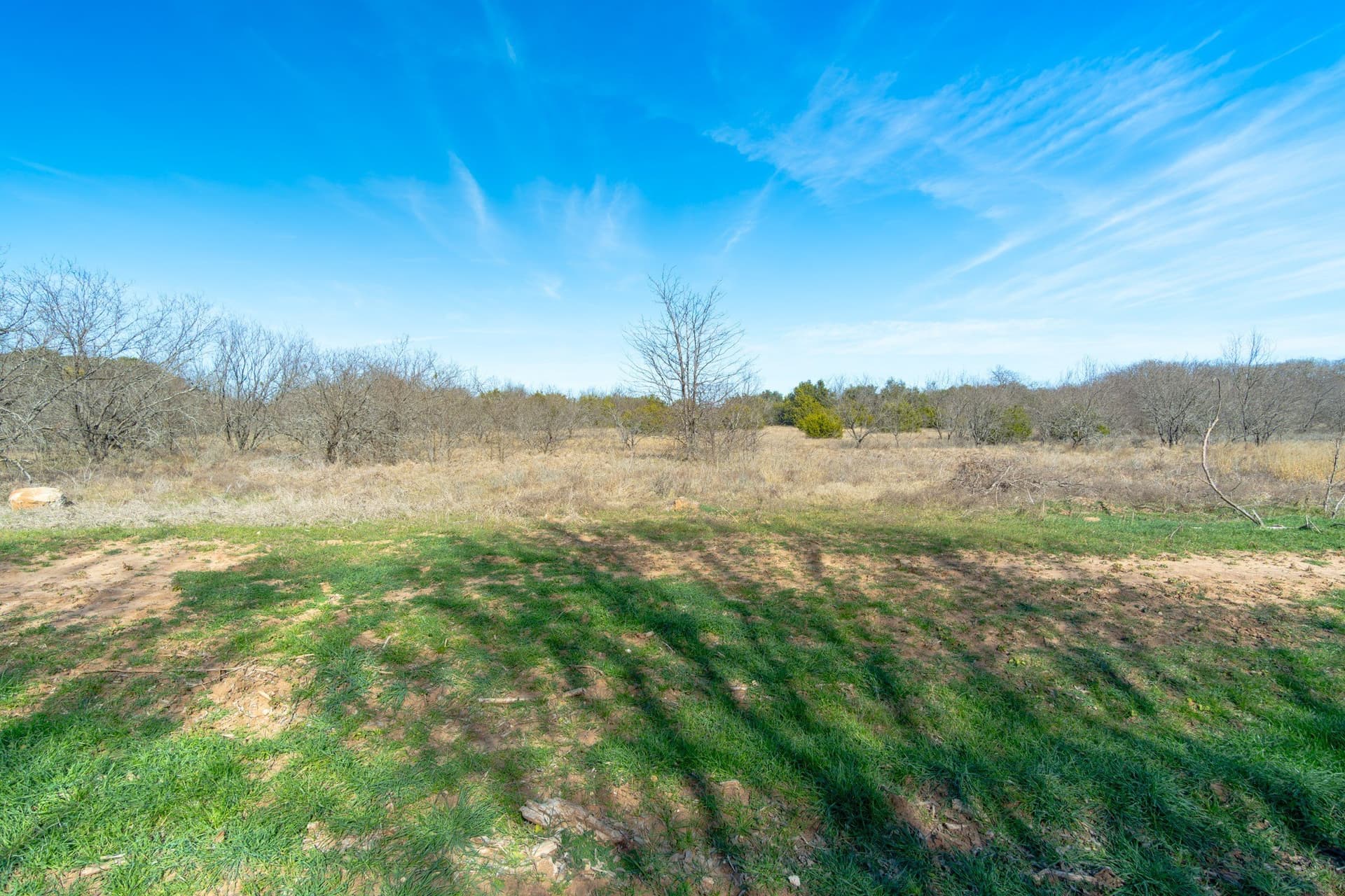39.96 acres in Hood County gallery image 4
