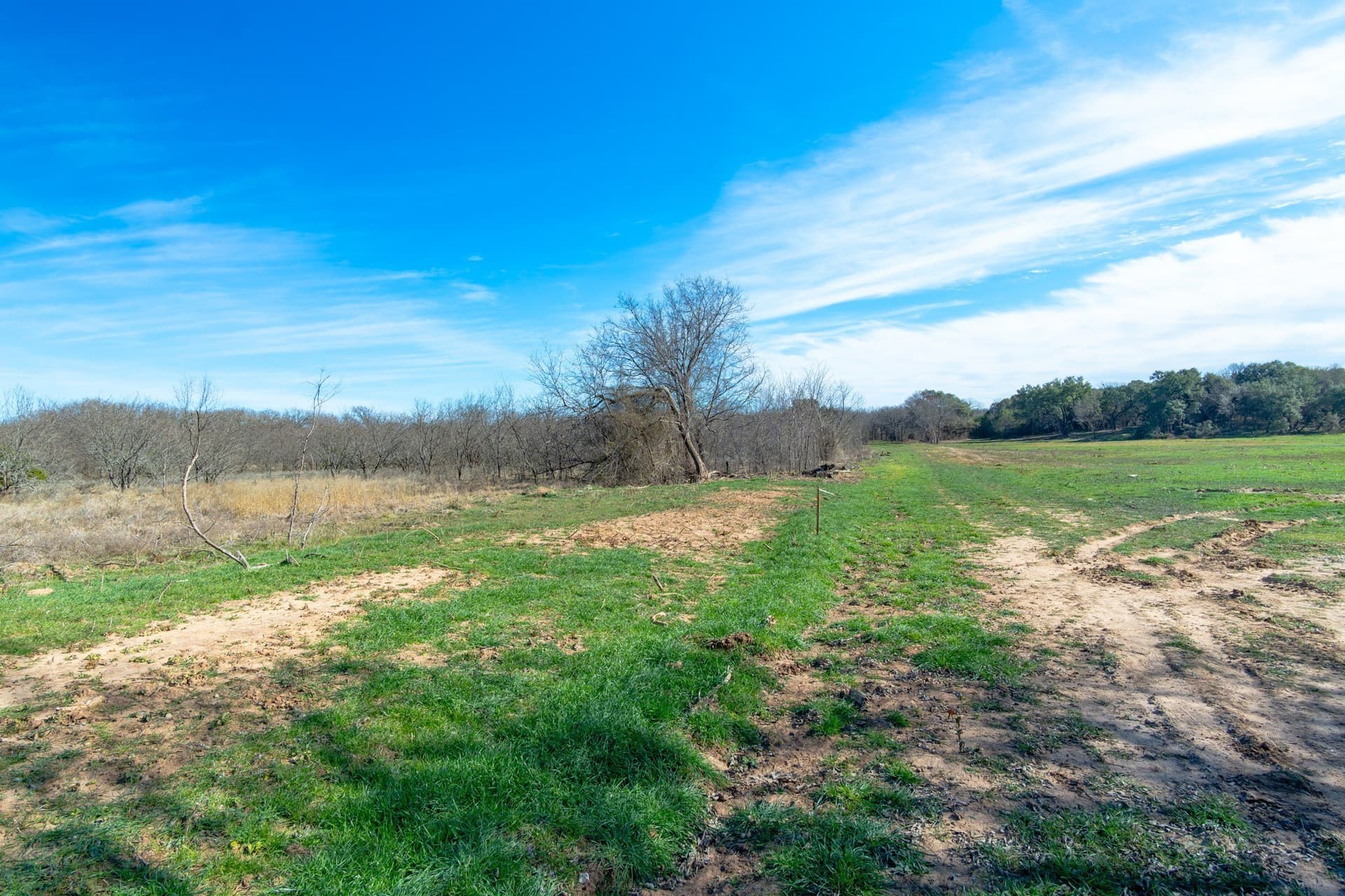 39.96 acres in Hood County featured view