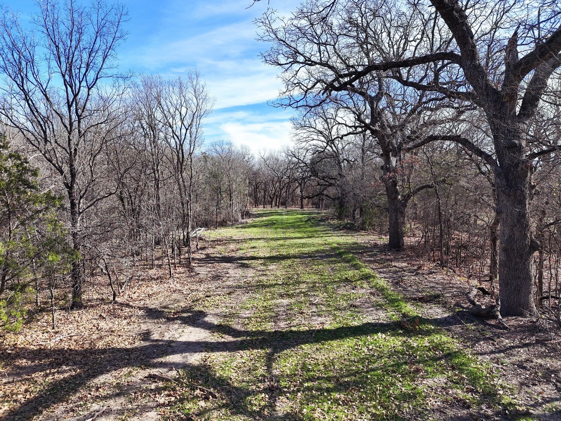 39.96 acres in Hood County - photo 29