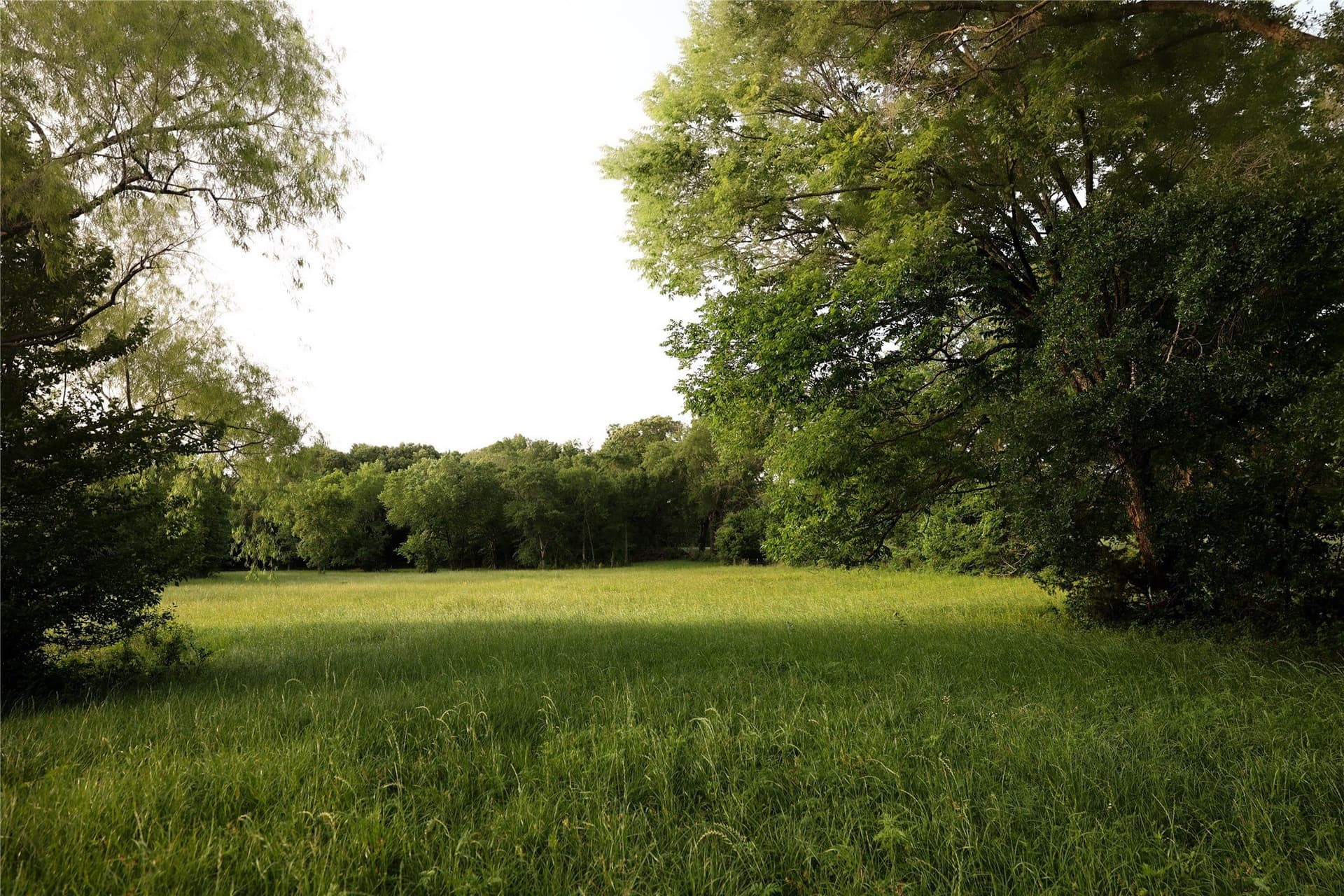 22.12 acres in Fannin County - photo 29