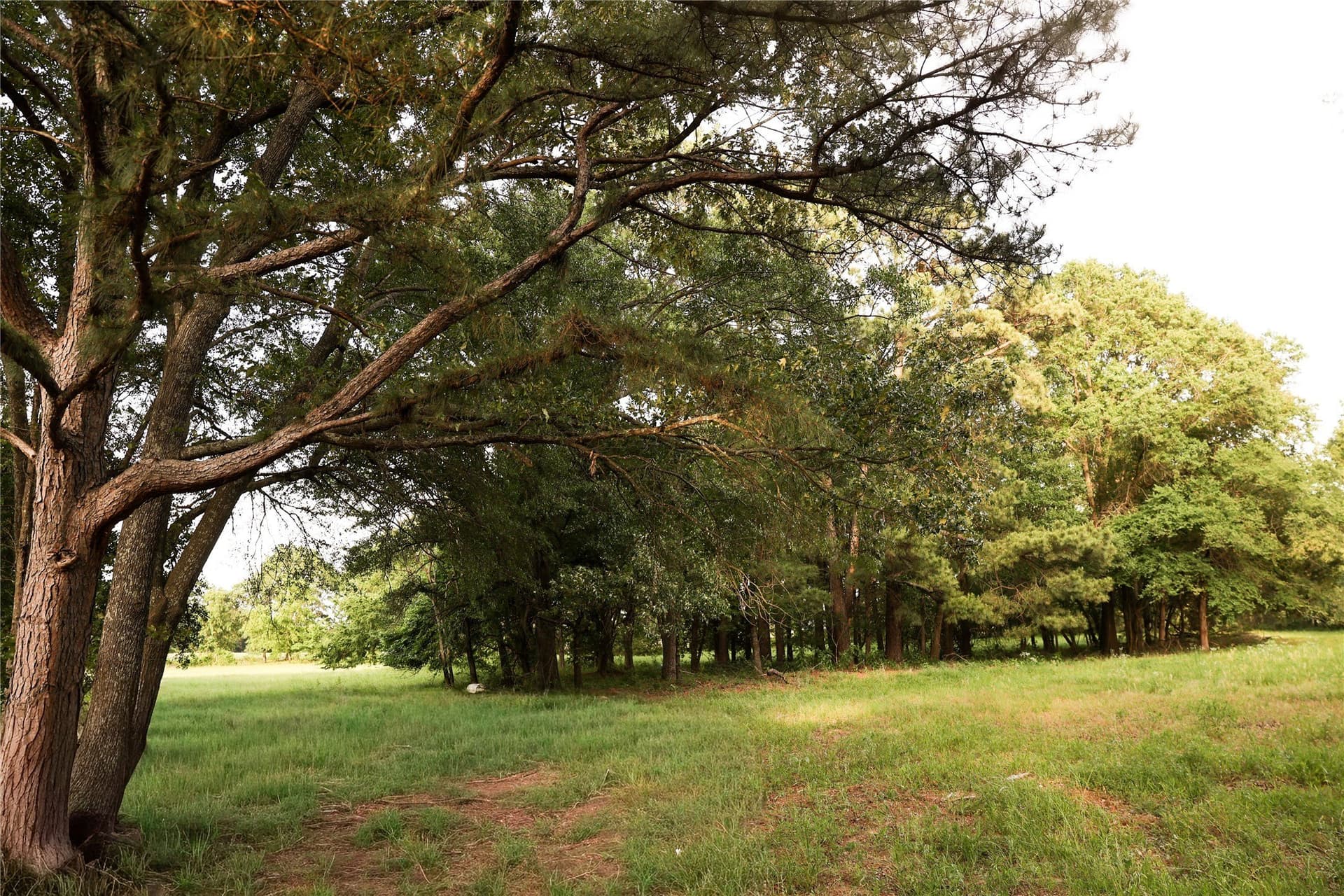 22.12 acres in Fannin County - photo 36