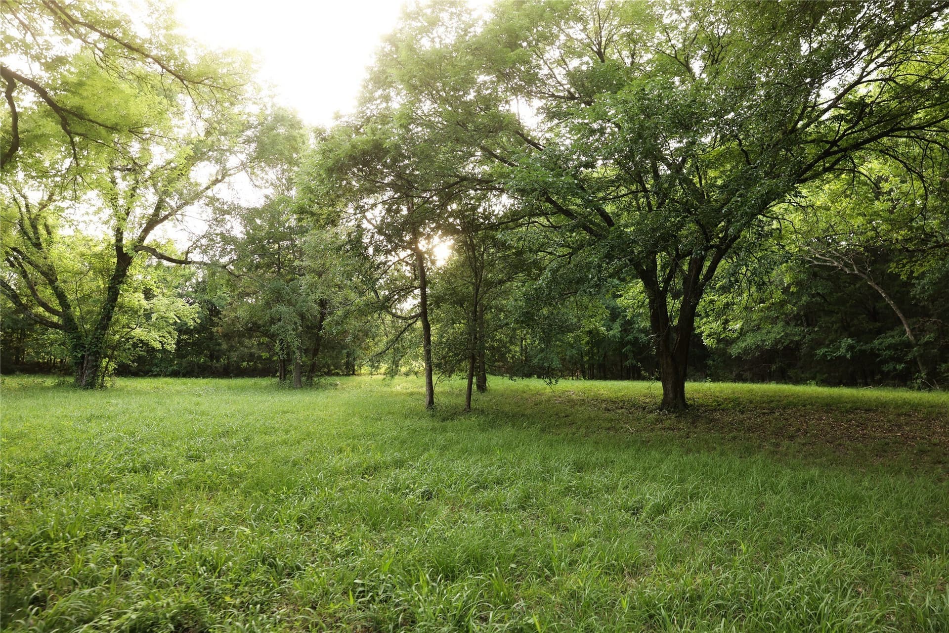 22.12 acres in Fannin County - photo 38