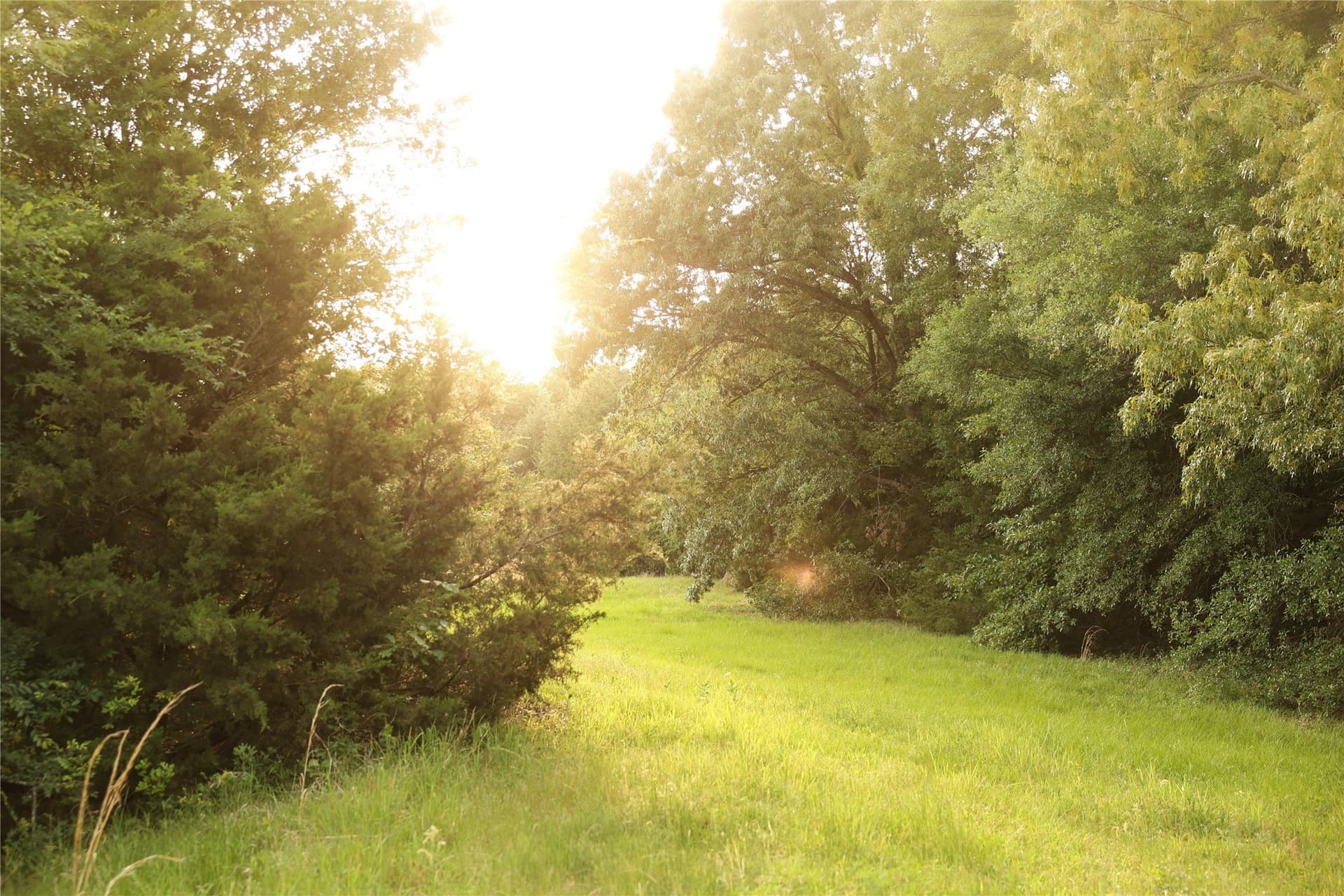 22.12 acres in Fannin County - photo 35