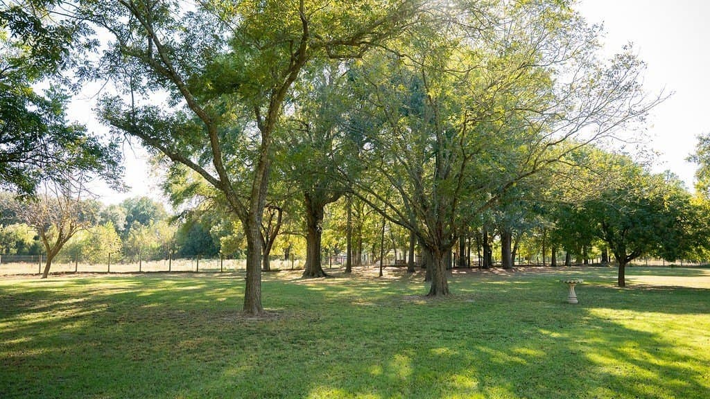 22.12 acres in Fannin County - photo 20