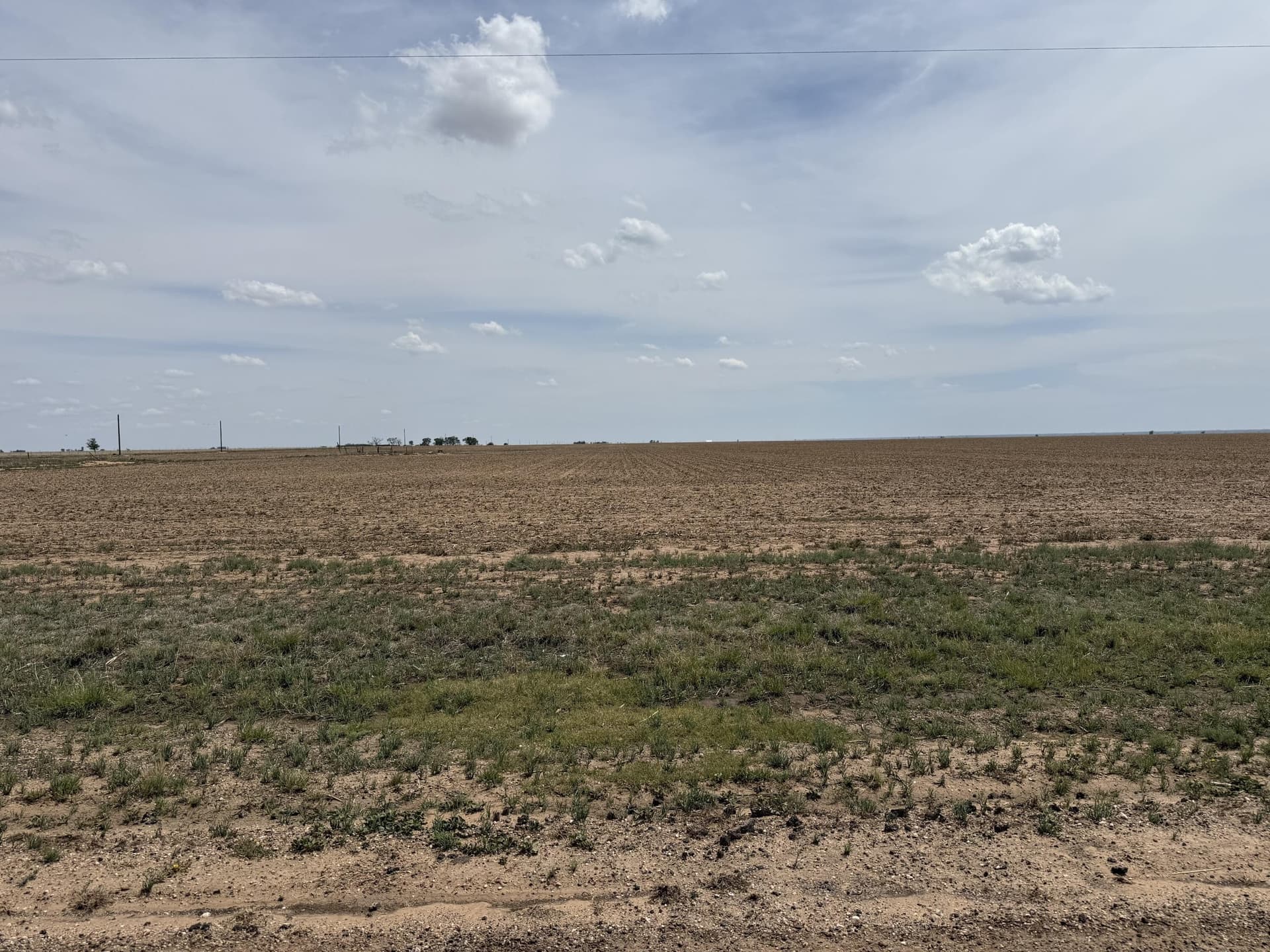 265.65 acres in Lamb County